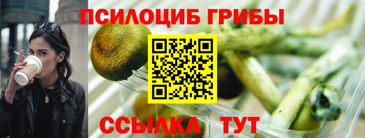 как найти наркотики  Вход с VPN  Черногорск  Псилоцибиновые грибы мухоморы 